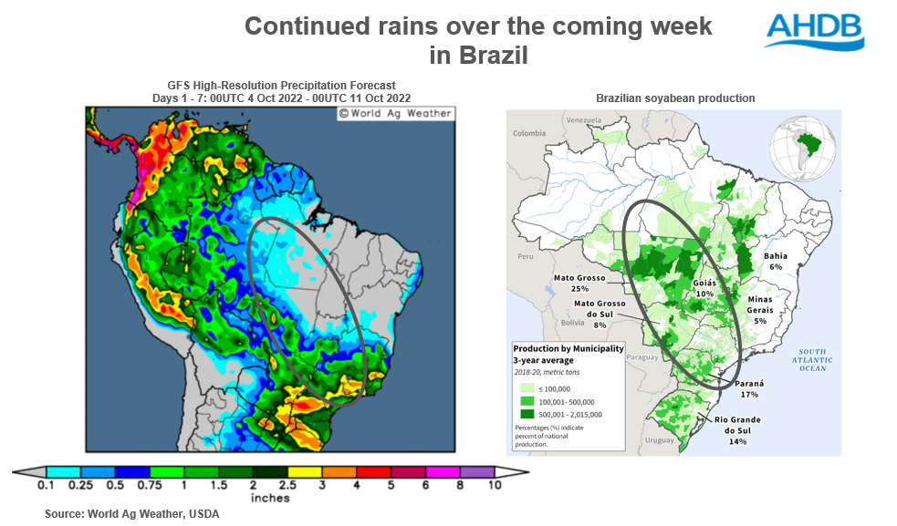 A graph showing weather in Brazil